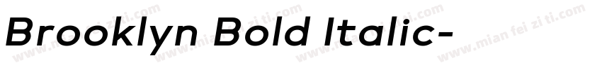 Brooklyn Bold Italic字体转换